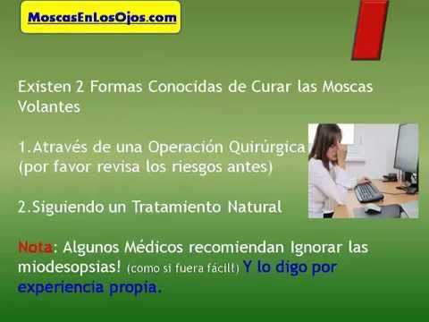 miodesopsias argentina Como Curar Las Moscas Volantes : Como Se Pueden Curar Las Moscas Volantes en los Ojos o Miodesopsias