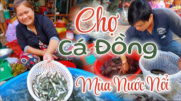 Khám Phá Chợ Cá Đồng Mùa Nước Nổi - Đặc Sản Miền Tây | Chợ Quê Official Tập #88