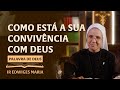 Palavra de Deus | Como está a sua convivência com Deus (Mt 28,16-20) Ir. Edwiges Maria 26/05