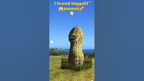 i found biggest peanut 🥜😱🤯 on google earth and google maps #earth #maps #viralvideo