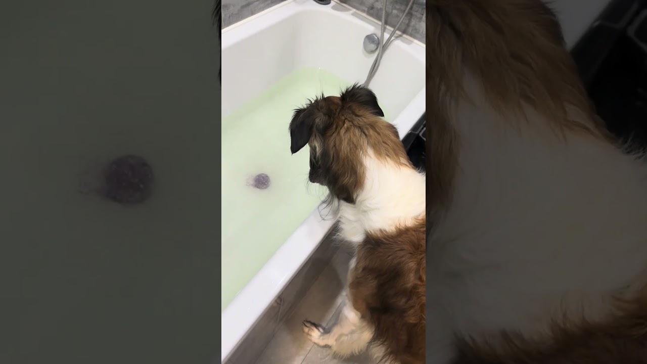 Бомбочка тест драйв не прошла 