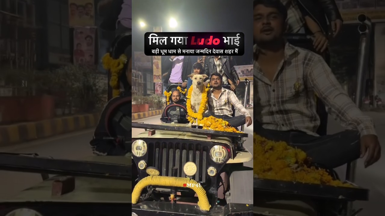 Ludo bhai ki birthday party 🐕 