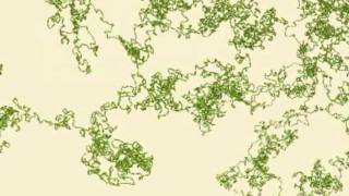 Simulating a polymer