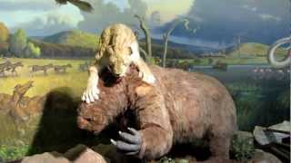 Sabertooth Tiger versus Giant Sloth