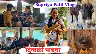 पारंपरिक दिवाळी पाडवा | ढोरं उडविण्याची पारंपरिक पद्धत | Wada | Palghar | Supriya Patil Vlogs | 2023