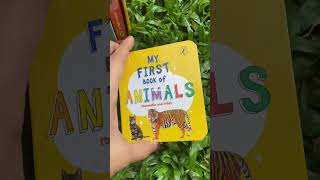 BOARD BOOKS!