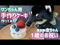#23 ワンちゃん用誕生日ケーキを手作りしてみよう!
