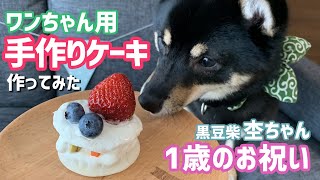 #23 ワンちゃん用誕生日ケーキを手作りしてみよう!