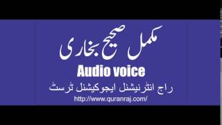 Sahih Bukhari Hadees No 381