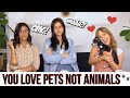YOU LOVE PETS NOT ANIMALS?