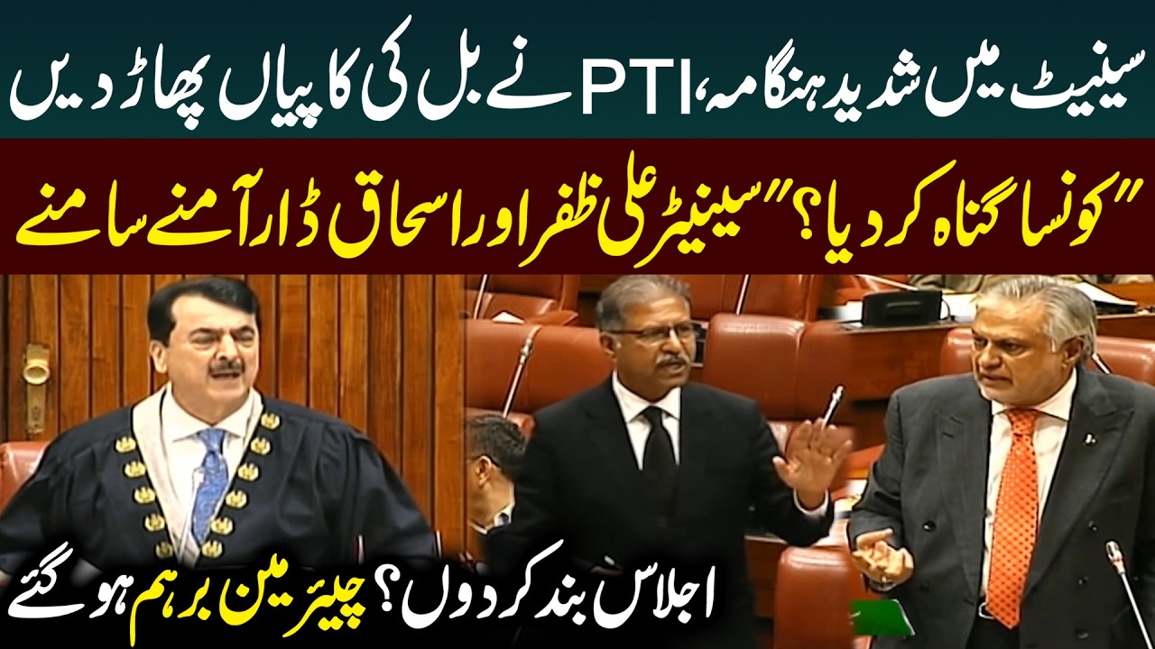 Ishaq Dar Vs Senator Ali Zafar | Fiery Debate in Senate Session | PTI vs PMLN | Public News