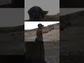 RADIAN RAMJET AND AFTERBURNER GLOCK 17 #glock17gen5 #staccato #sig #m&p #cod #firearmstraining #9mm