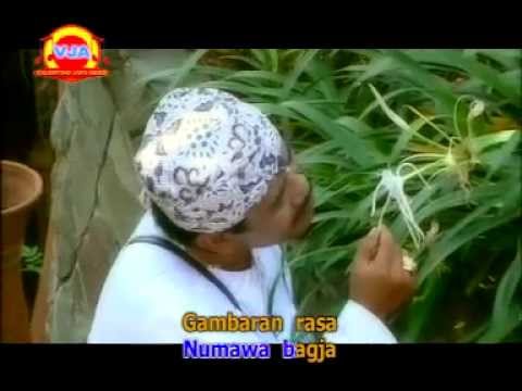 CAMPAKA BODAS ~ DODDI MANSUR