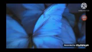 Vinheta Mbc 2018 V1 Global Tv