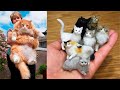 Why Cats make the Best Pets #1