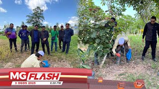 Download Lagu Telur Ditulis Nama, Tulang Ditemukan Di Kubur Guar Panji #MGFlash MP3 Download Lagu Telur Ditulis Nama, Tulang Ditemukan Di Kubur Guar Panji #MGFlash MP3
