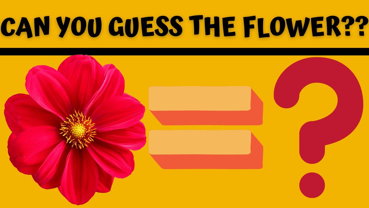 FLOWER QUIZ CHALLENGE  |  CAN YOU GUESS FLOWER CORRECTLY?