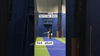 Cut shot!! Batting buzz #viral #trending #cricket #sports #cricketlover #viratkohli #australia