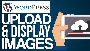 How To Upload and Display Videos In WordPress (2024) Full Guide