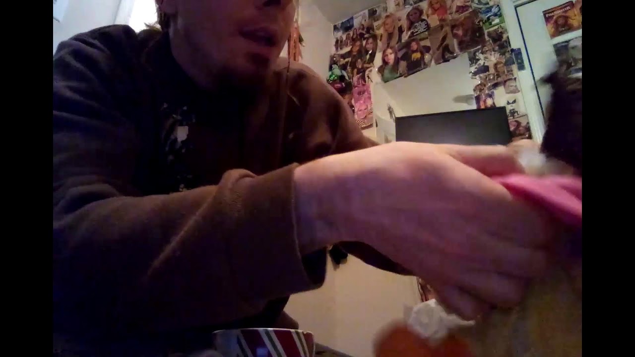 Makeing McDonalds Birdie DoLL