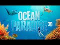 Watch The Ocean Paradise 3D Official Trailer 