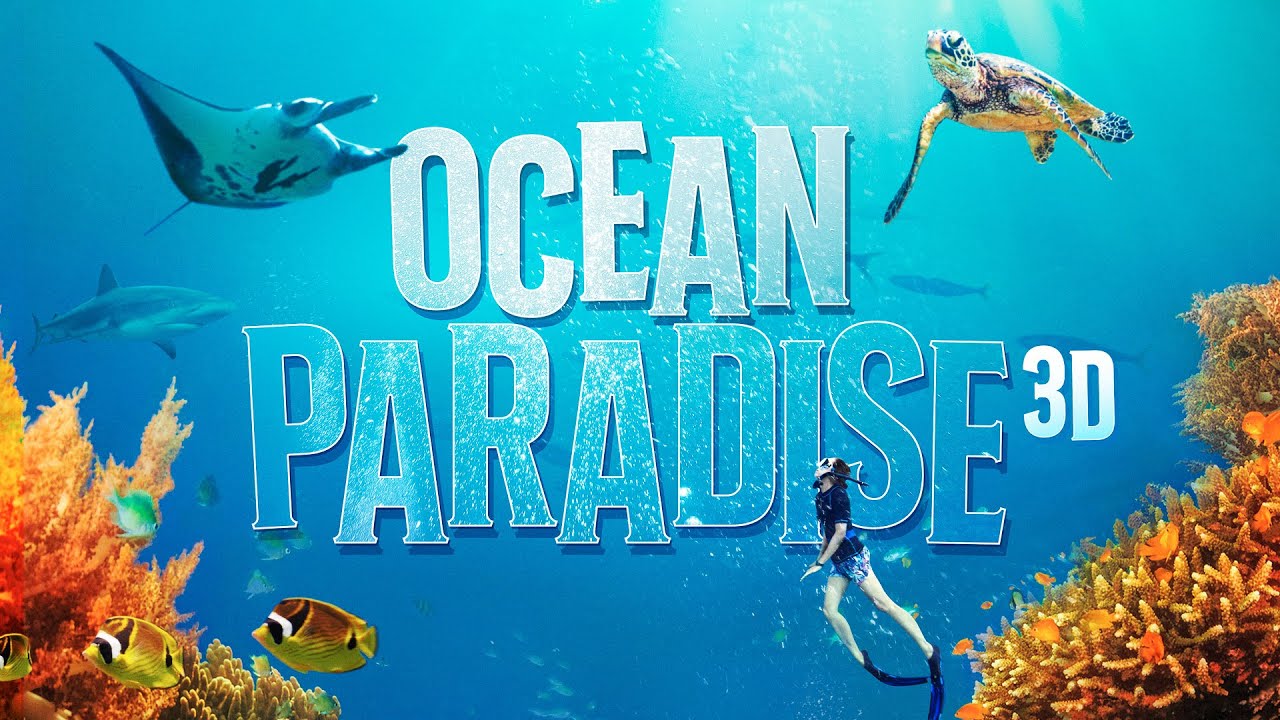 Watch the Ocean Paradise 3D Official Trailer