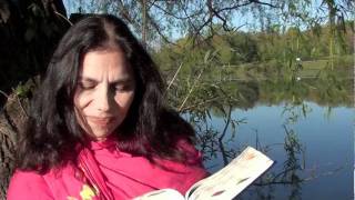 Workbook Lesson 162 from A Course in Miracles with Amy Torres