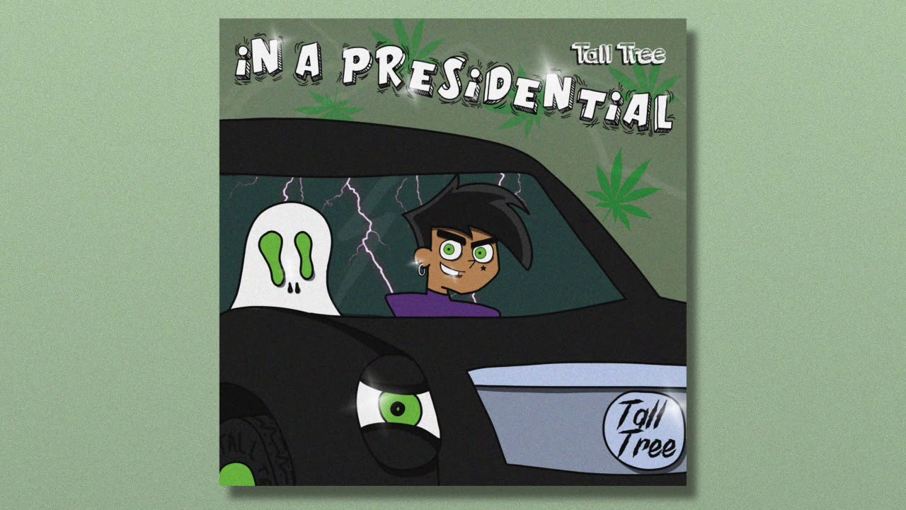 Tall Tree Hippy - In a Presidential (Official Audio)