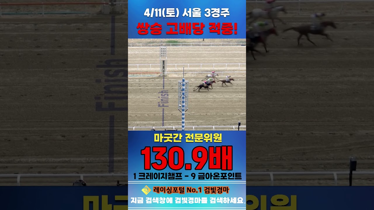 [서울 경마] 4월 11일 토요 3경주 마굿간 전문위원 쌍승 고배당 적중 #경마 #horse #한국마사회 #automobile #하이라이트 #horseracing #뉴스 #게임