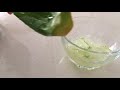 Aloe vera jeli nasıl çıkarılır ve nasıl saklanır 🌱