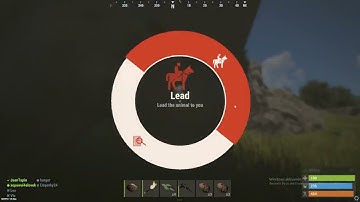 RUST 2024 02 08   09 52 25 02 DVR   Trim