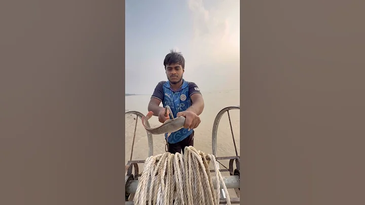 Amazing Catfish Bait 2  #fishinglife  #river #bait