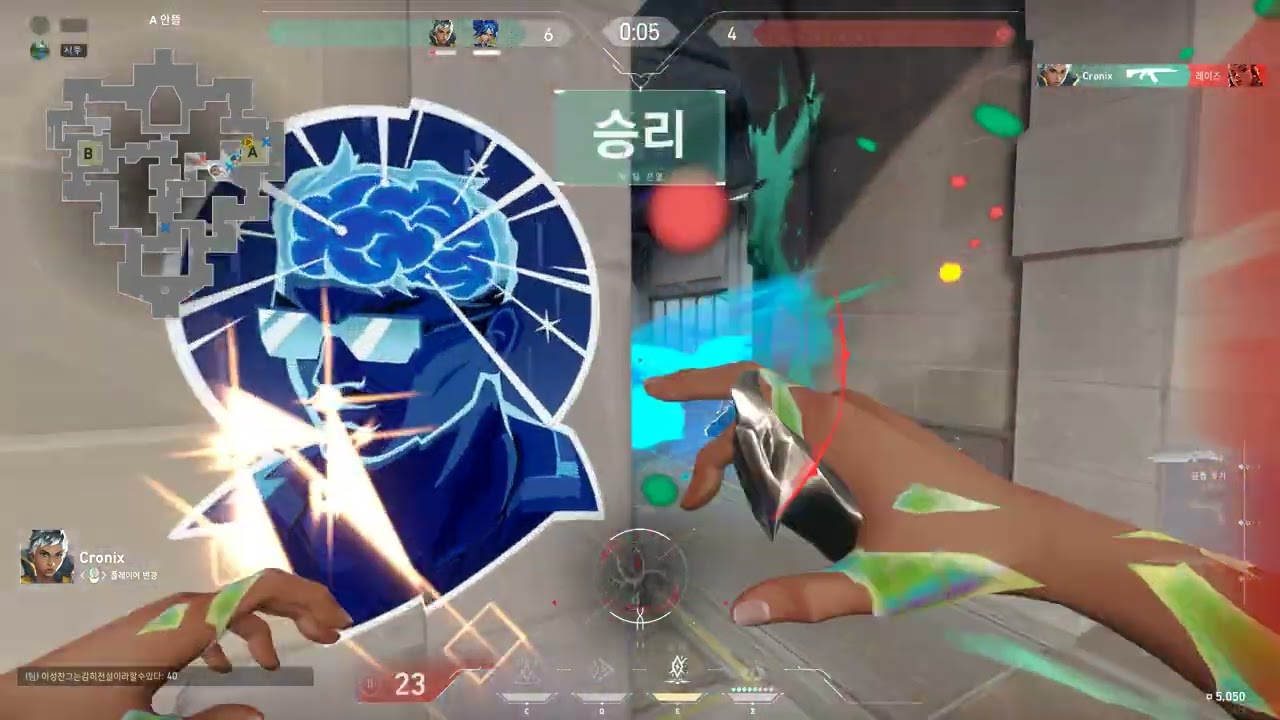 피드백