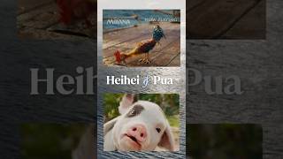 Disneys Moana | Here For Hei Hei & Pua | In Cinemas Now