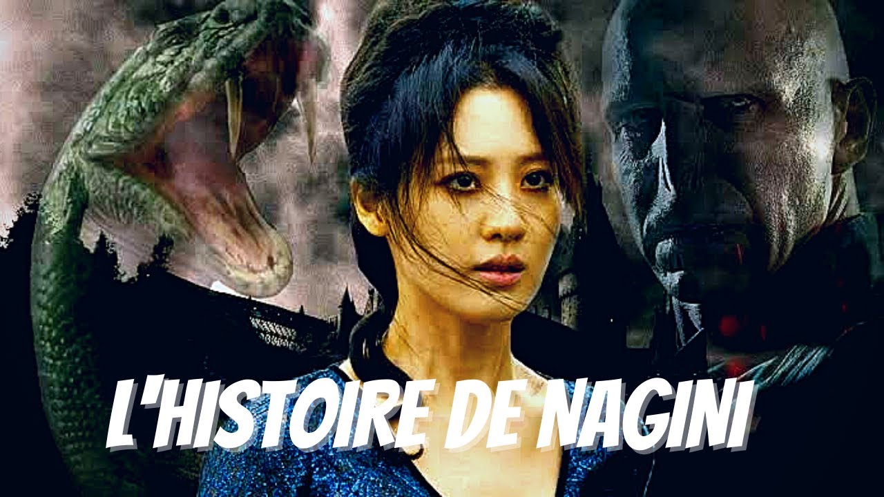 L'Histoire de NAGINI - Le serpent de VOLDEMORT! - Harry Potter - YouTube