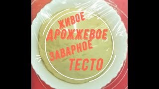 Живое дрожжевое заварное тесто .Домашний рецепт Живое дрожжевое заварное тесто .Домашний рецепт