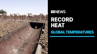 The world's hottest day on record happened this week | ABC News