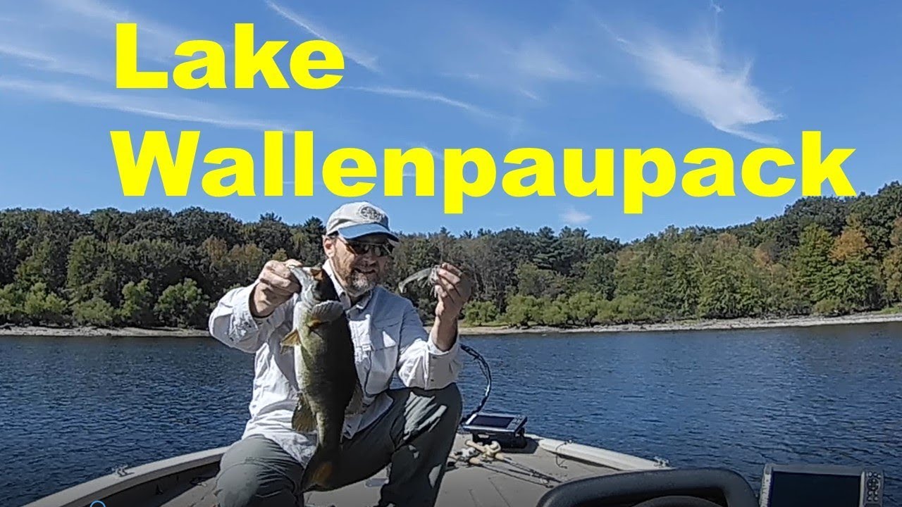 Swim Jigs, Spoons and Topwater!