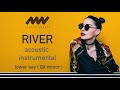 River - Bishop Briggs - acoustic instrumental LOWER KEY