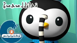 2 أوكتونوتس | ثعابين البحر | السلسلة 2 | الحلقة