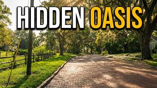 Allendale Park Walk | Live Oaks & Brick Streets in St. Petersburg, FL