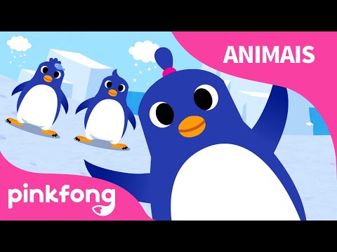 A Dança Do Pinguim | Canções de Animais | Pinkfong Canções para crianças
