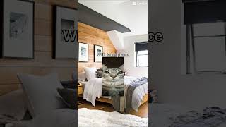 #funny #shorts #memes #stuff