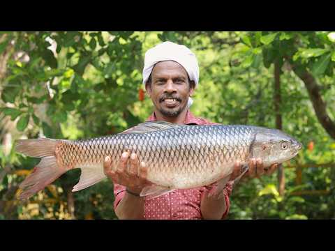 ചൂണ്ടയിൽ കിട്ടിയ കിടിലൻ രോഹു കറിവെച്ചു കപ്പയുടെ കൂടെ തട്ടിയപ്പോൾ | kerala traditinal Fish curry
