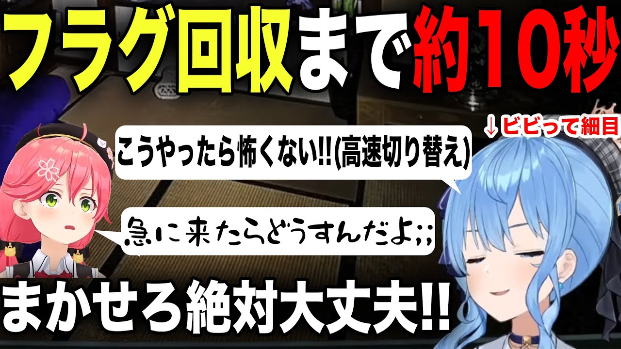 すいちゃんの悲鳴でしか得られない栄養がある【ホロライブ/ホロライブ切り抜き】