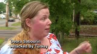 Turkeys terrorize Massachusetts town