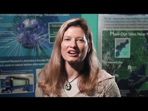 The Science of Seal Tracking with Monica DeAngelis
