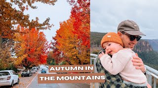 Blue Mountains Autumn Adventure: Free Camping Weekend Exploration