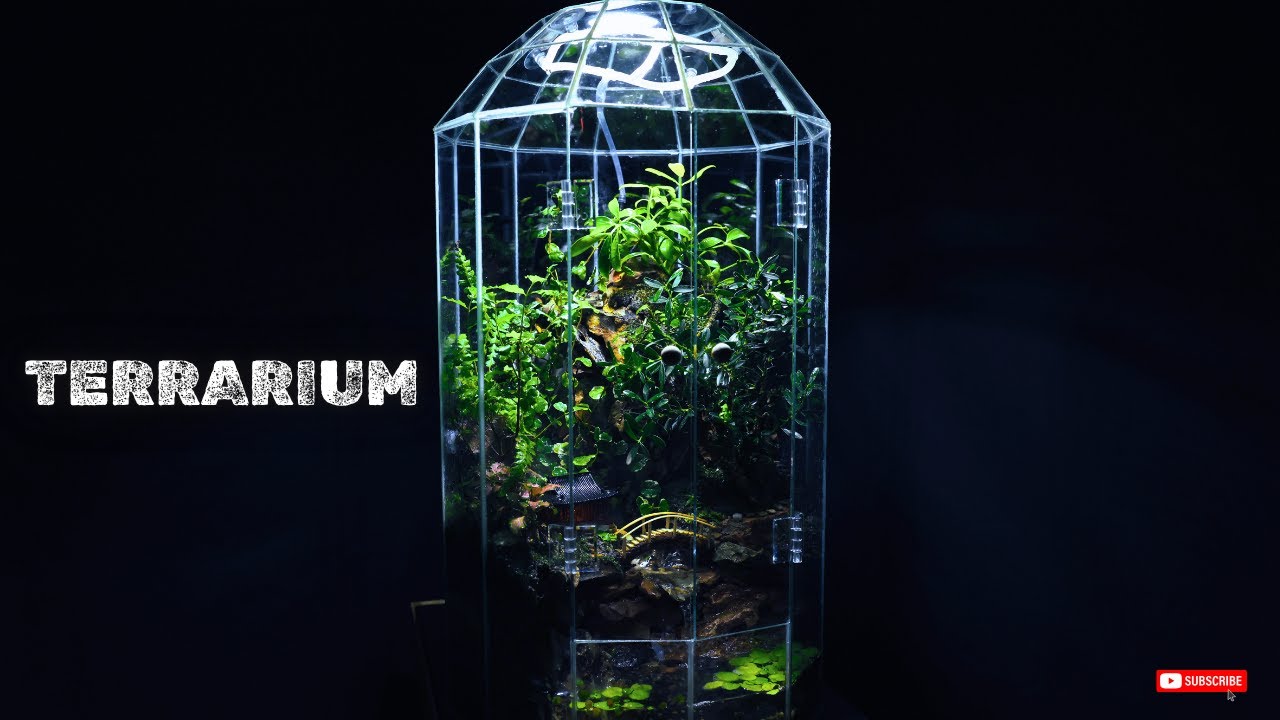 Building a Stunning Mini Jungle Terrarium | ORACLE AU 