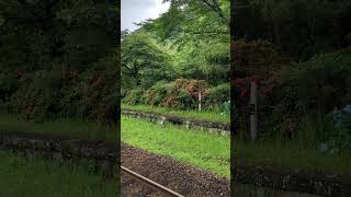 鹿児島嘉例川駅レトロな雰囲気の駅舎と自然豊かな駅がとっても良い雰囲気です 鹿児島空港からも近いです